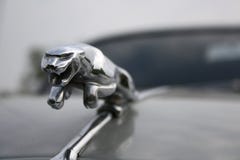 Leaping Jaguar – symbol of British sports car